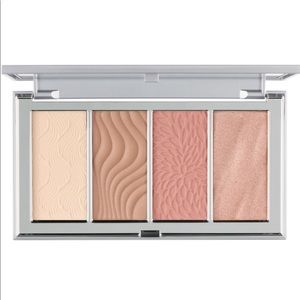4 in 1 skin perfecting powders face palette